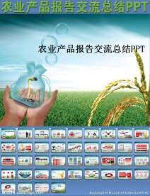 农业产品报告交流总结PPT