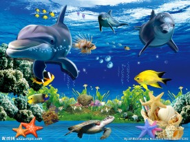 3D海豚海底世界