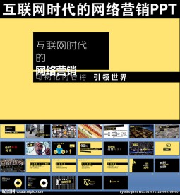 互联网时代的网络营销PPT