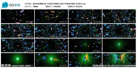 宽屏蝴蝶幻影全息素材婚礼LED