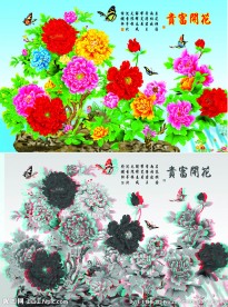 花开富贵序列图