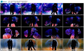 玫瑰之舞双人跳舞婚礼新人LED