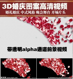 玫瑰花瓣婚庆开场透明通道视频