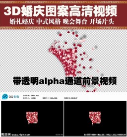 婚庆开场玫瑰花瓣透明通道视频