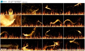 火凤凰浴火重生LED大屏幕视频