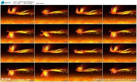 火凤凰浴火重生LED大屏幕背景