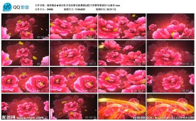 喜庆牡丹花民歌民族舞蹈LED大