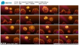 金丝牡丹开场LED素材大屏背景