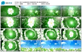 茉莉盛放背景民歌山歌LED视频