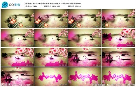 中国风水墨梅花江南水乡百合花开