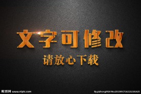 木质纹理效果3D立体字