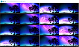 抒情唯美夜场开场视频vj背景