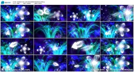 兰花美人vjLED大屏幕视频
