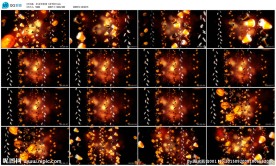 万圣节彩灯酒吧夜店VJ素材背景