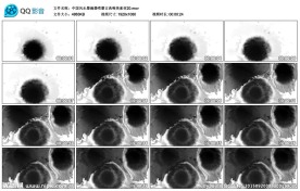 中国风水墨滴墨喷墨古典唯美素材