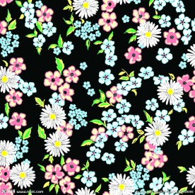 雏菊花 花卉花纹 分层