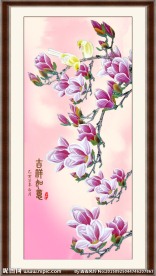 玉兰花