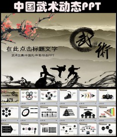 中国功夫太极拳武术指导中国风