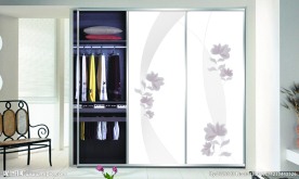 风采依旧 推拉衣柜门