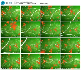 绿地花朵开放全程植物生长视频