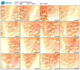 菊花舞台演出婚礼晚会LED背景