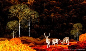 北国风光  秋色 神鹿