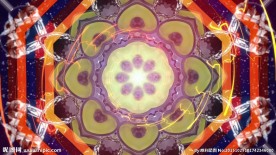 超赞花朵变化动感节奏酒吧led