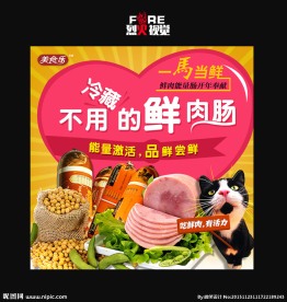 宠物食品直通车