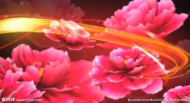 婚庆视频素材牡丹花LED背景