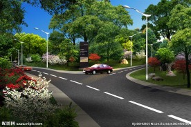 道路绿化