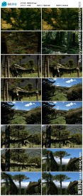 模拟恐龙视频素材
