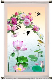 荷花