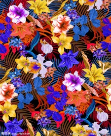 植物叶子花卉 分层