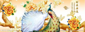 孔雀吉祥图