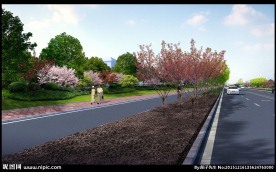 明星路道路绿化