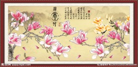 玉兰花