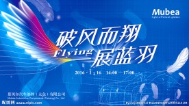 破风而翔 一展蓝羽