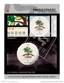 新款普洱饼茶(平面分层图)