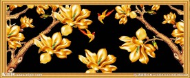 玉兰花