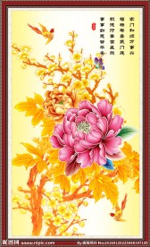 花开富贵