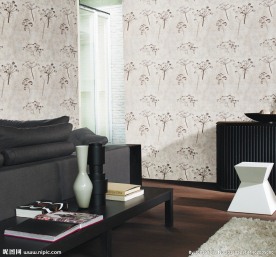 大气高清家装设计图图片