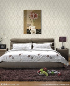 大气高清家装设计图图片