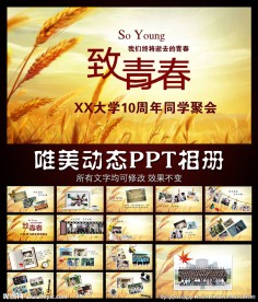 致青春动态PPT模板