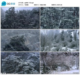 自然雪景寒冷冬天下雪