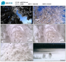 寒冷冬天雪地雪景