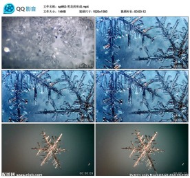 雪景雪花的形成特写