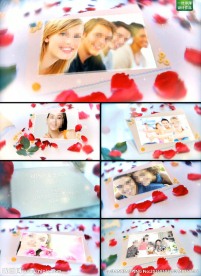 浪漫玫瑰婚礼片头AE模板