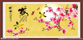 玉兰花