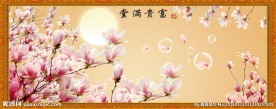 玉兰花