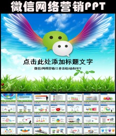 放飞梦想微信网络营销PPT